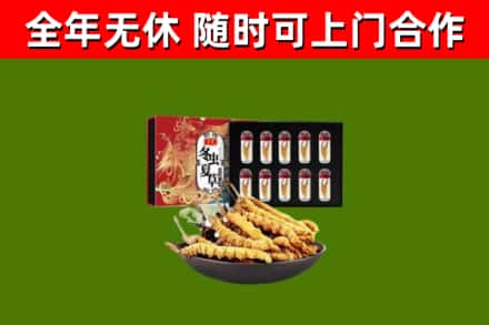 武山县回收冬虫夏草价格